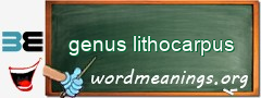 WordMeaning blackboard for genus lithocarpus